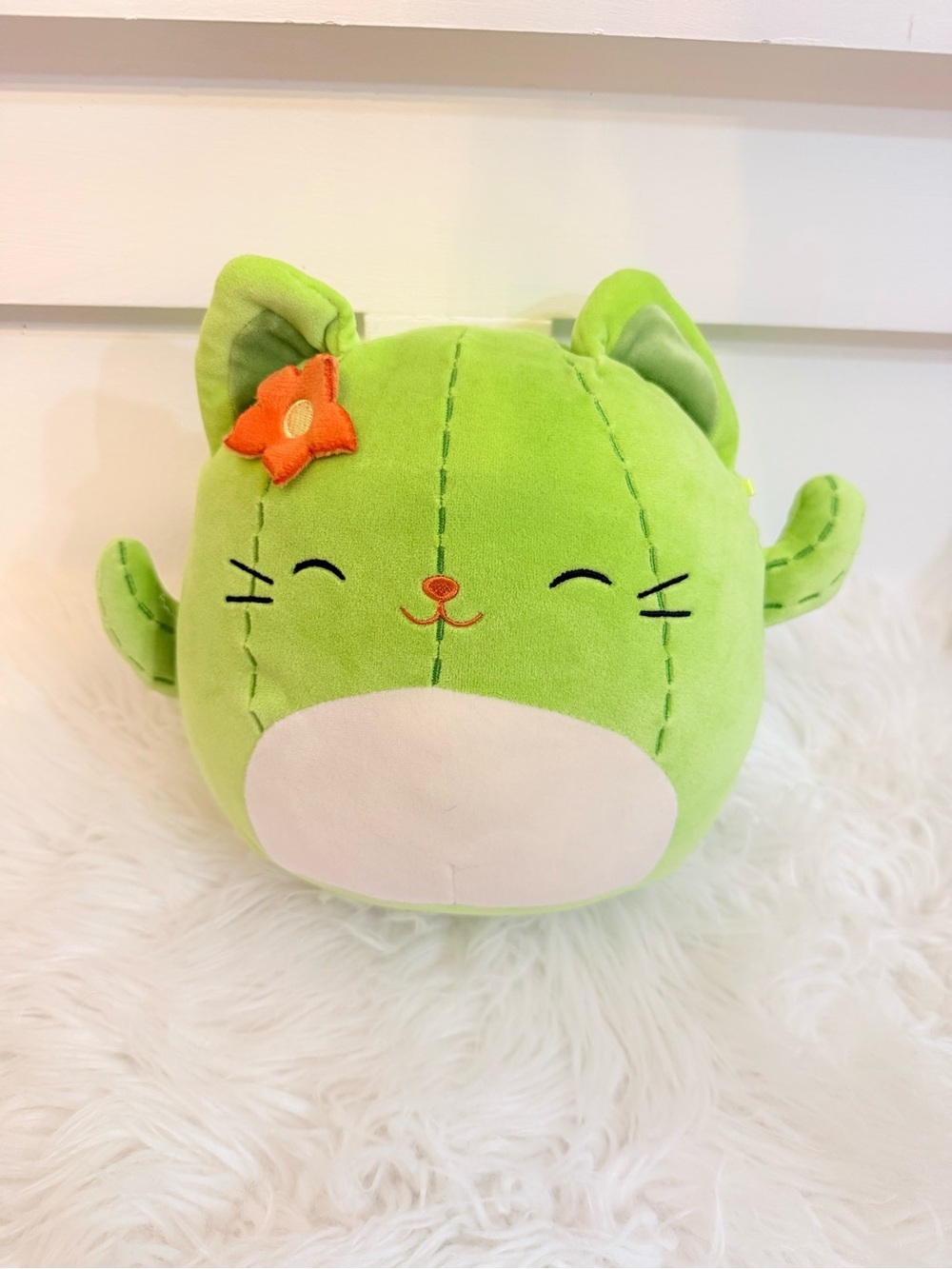 💫4/$25 • Squishmallow Ms. Miss the Cactus Cat